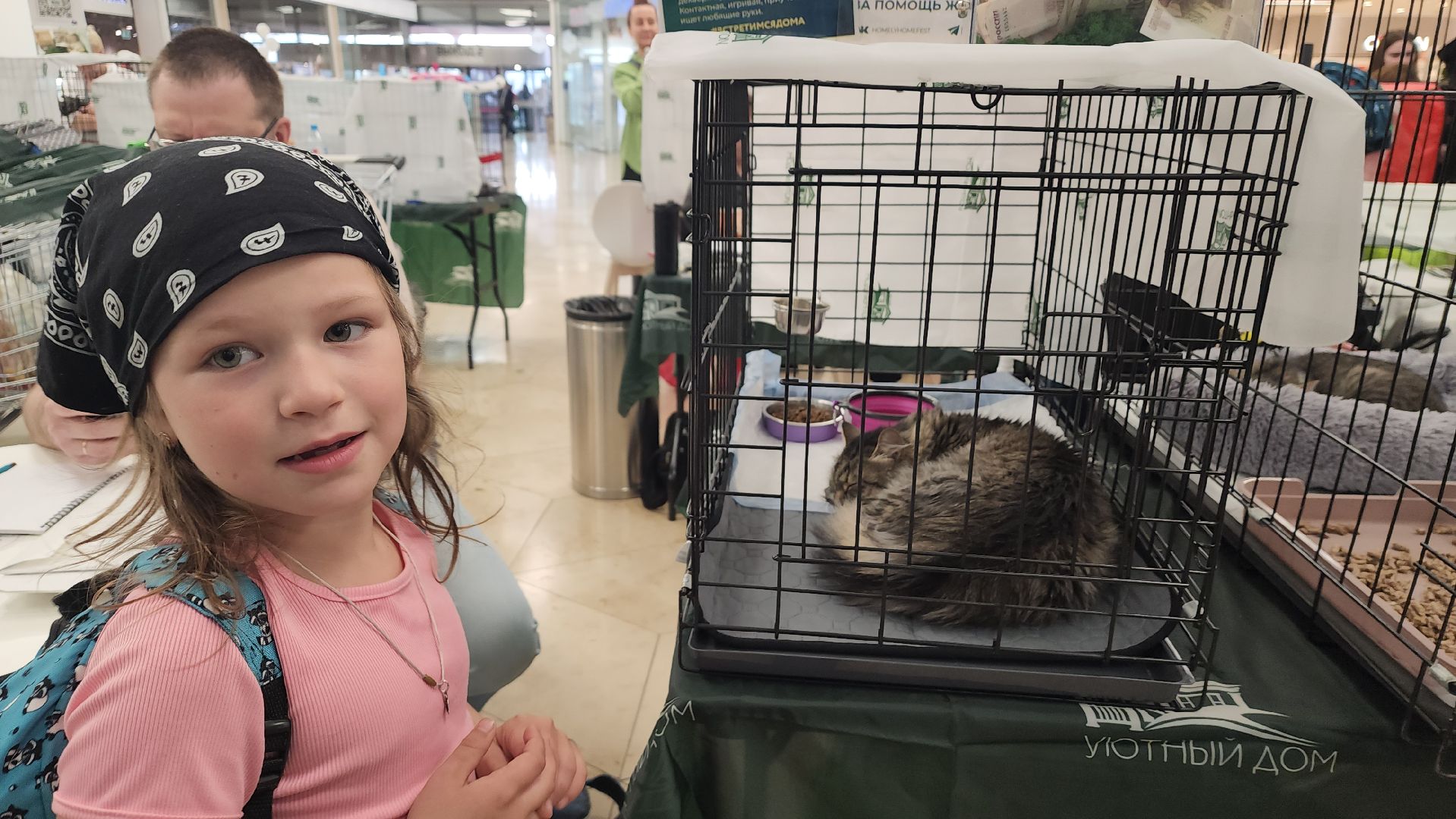 вертикалки, пушкино, волонтеры, благотворительность, бездомные животные, собаки, кошки, поиск, хозяин и хозяйка,