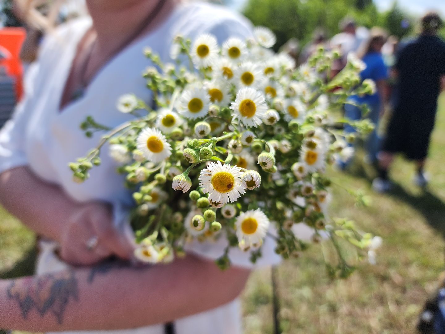 фестиваль семейных традиций, сельское хозяйство, орехово-зуевский округ,семейная ферма,