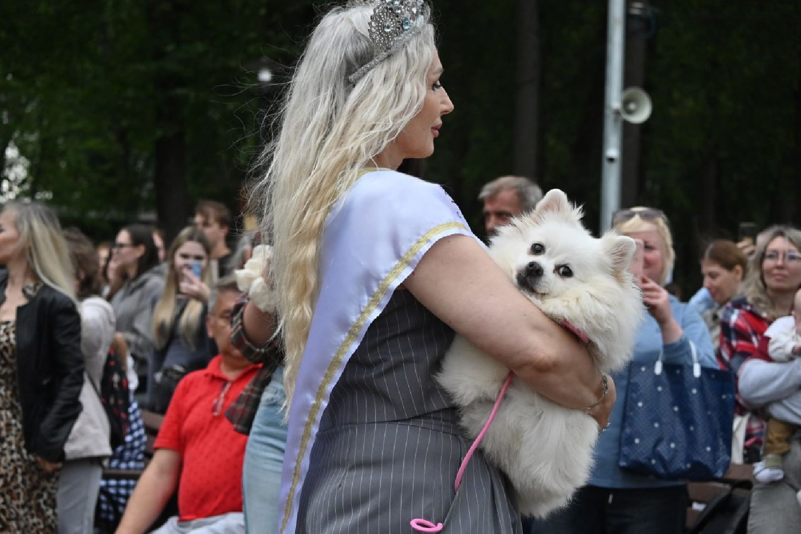 сергиев посад, сергиево-посадский городской округ, потеряшки сергиев посад, бездомные животные, благотворительный фестиваль,
