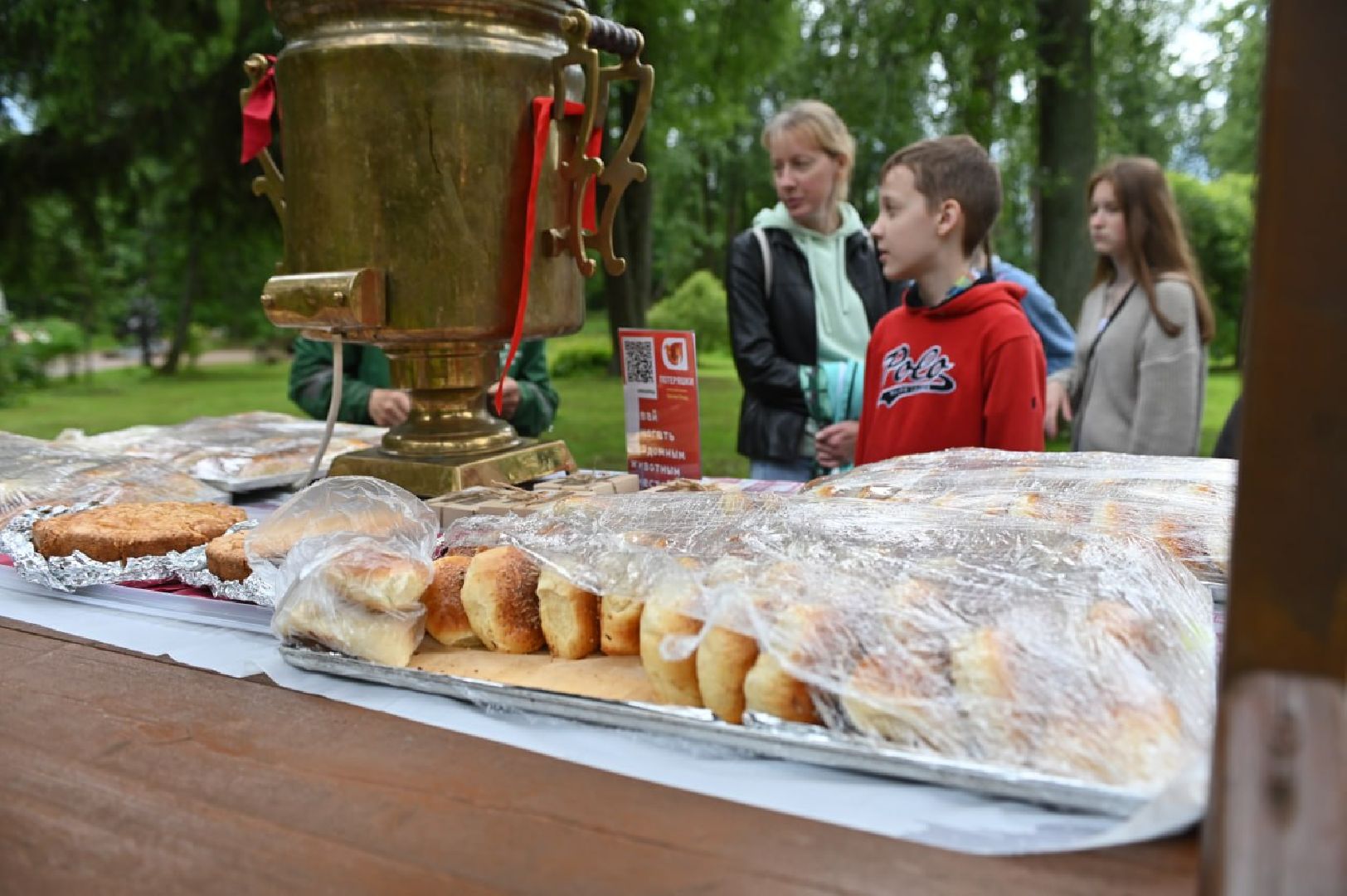 сергиев посад, сергиево-посадский городской округ, потеряшки сергиев посад, бездомные животные, благотворительный фестиваль,