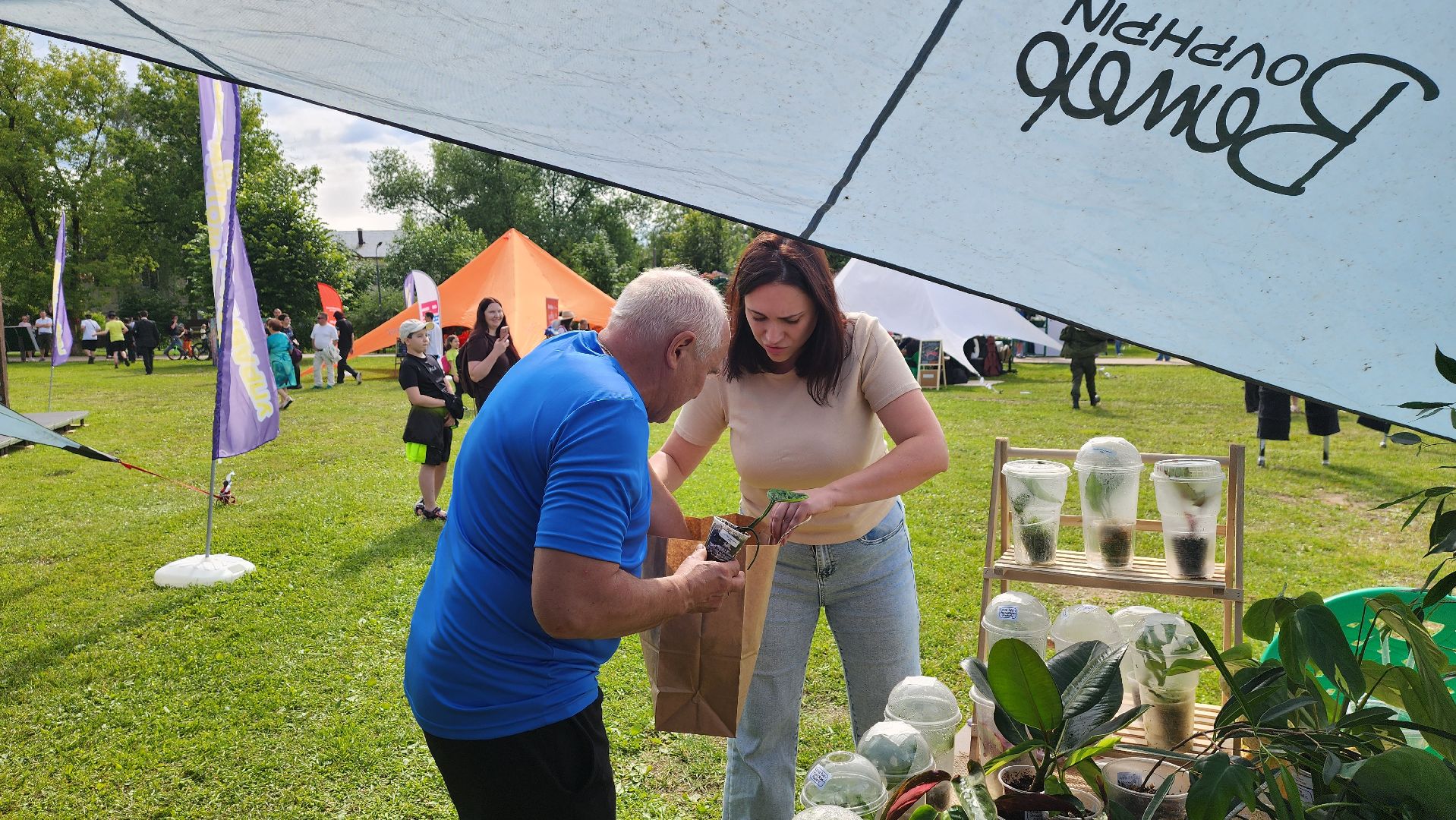 солнечногорск, день молодежи, зеленый своп, обмен растениями,