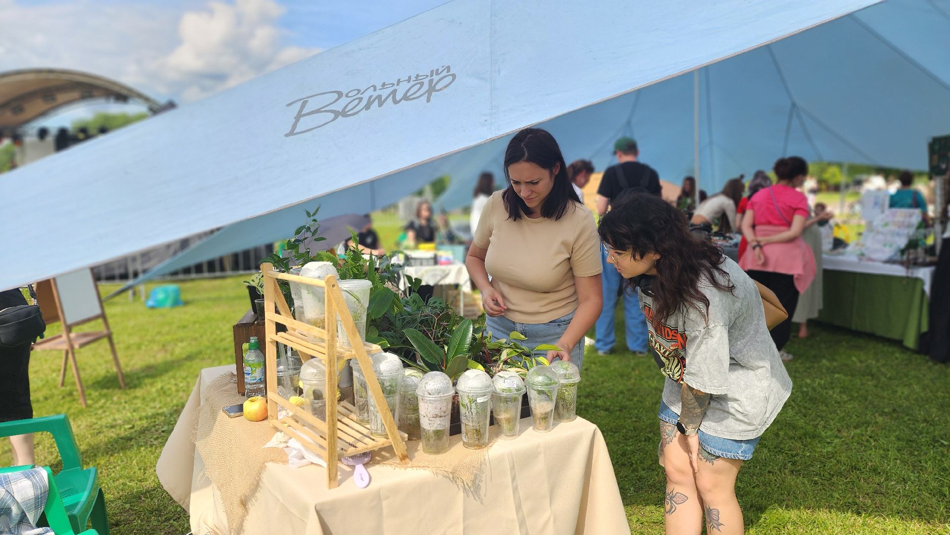 солнечногорск, день молодежи, зеленый своп, обмен растениями,