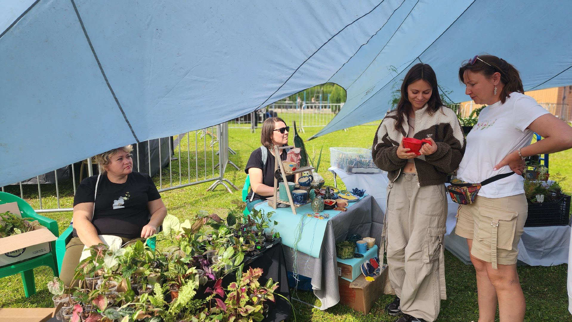 солнечногорск, день молодежи, зеленый своп, обмен растениями,