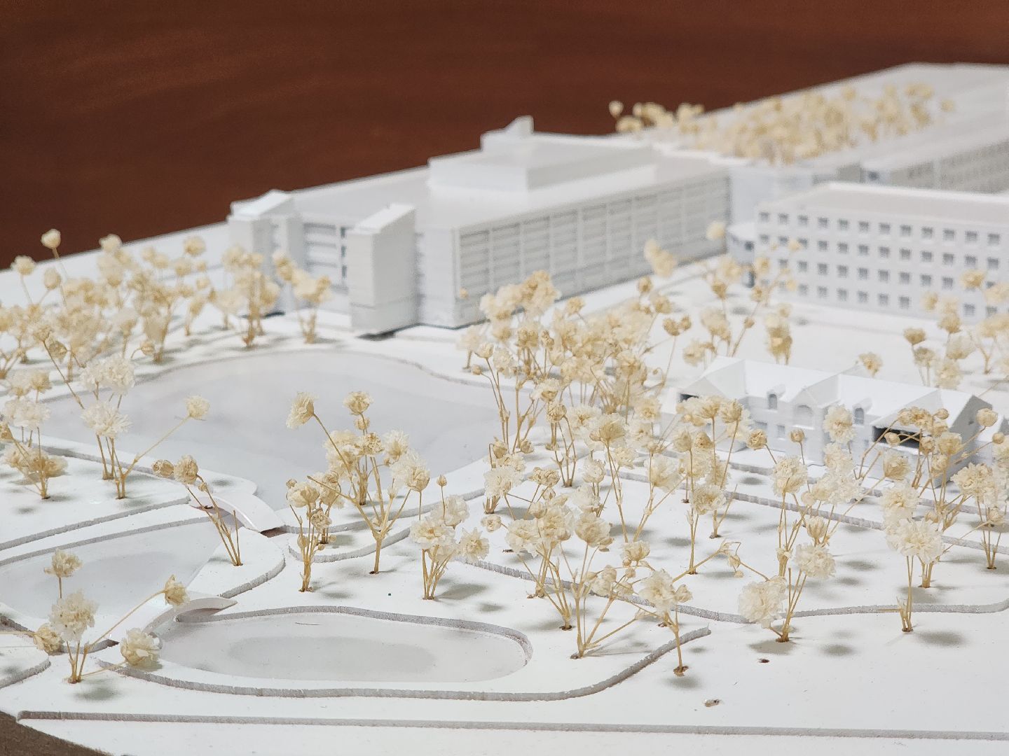 дубна, университет дубна, DIYнозавры, урбан-фест, городская среда,