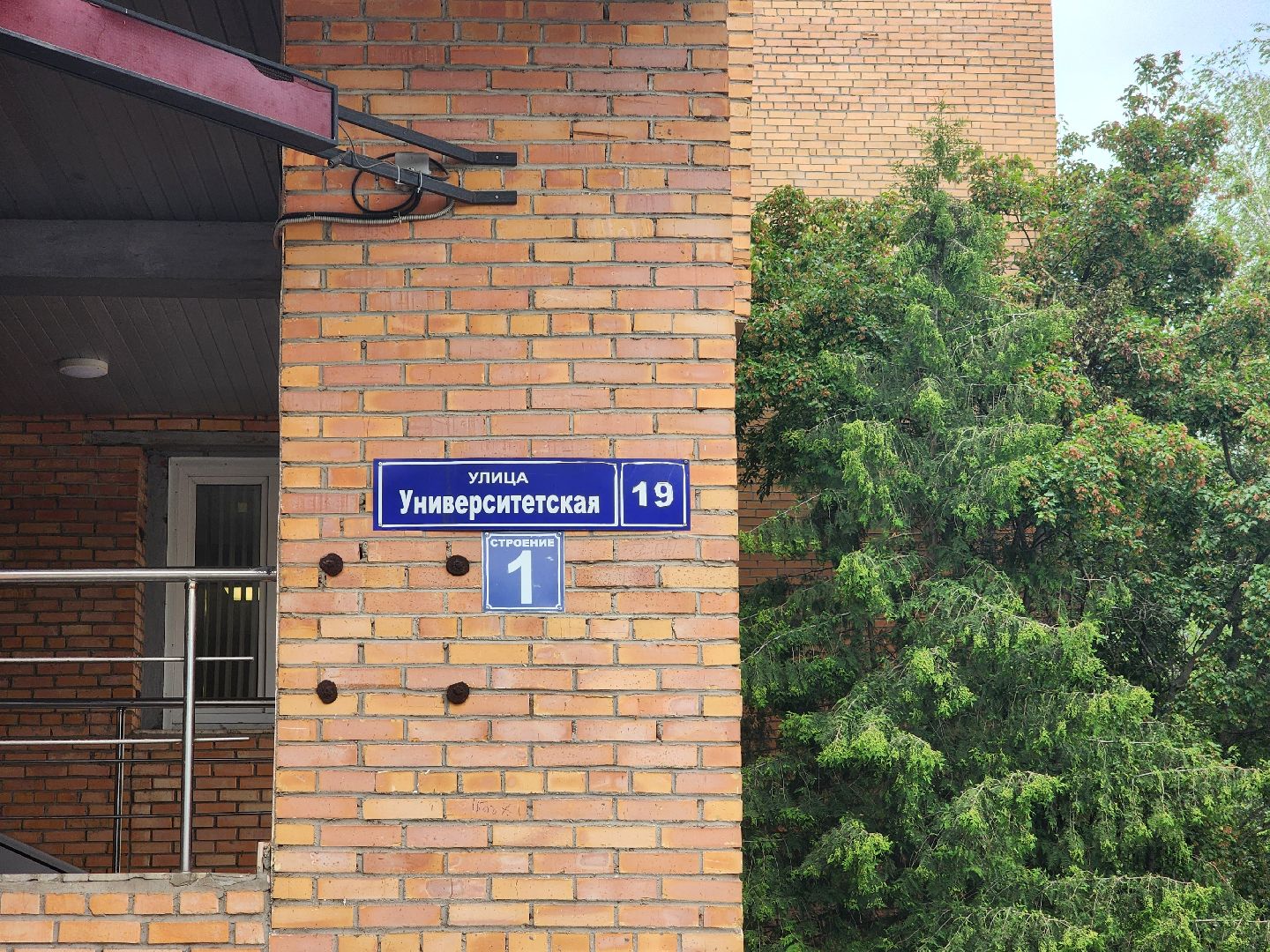 дубна, университет дубна, DIYнозавры, урбан-фест, городская среда,