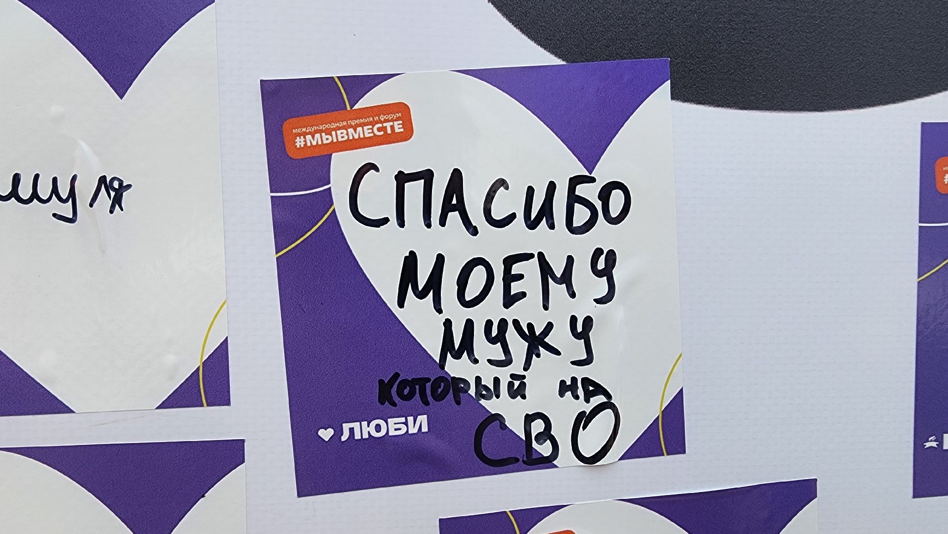 солнечногорск, день молодежи, стена благодарности, волонтеры,