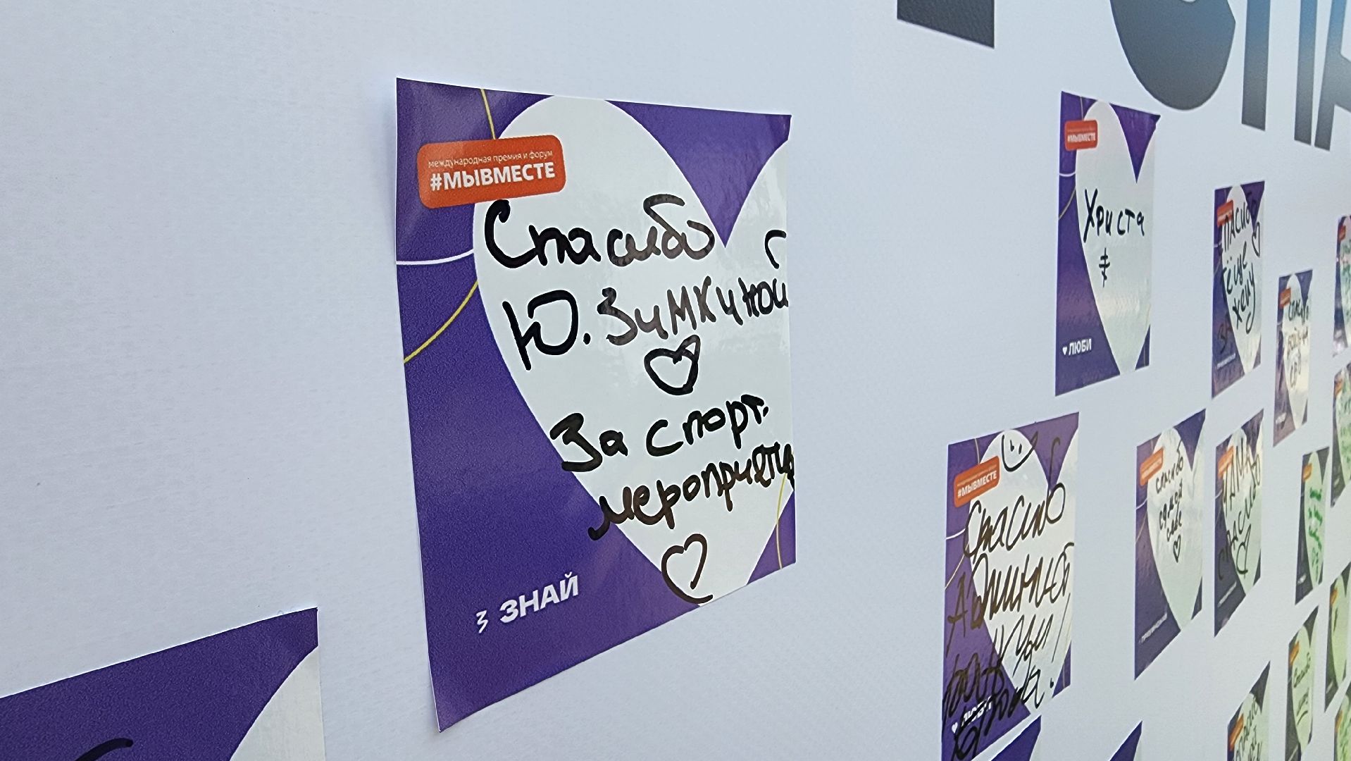 солнечногорск, день молодежи, стена благодарности, волонтеры,