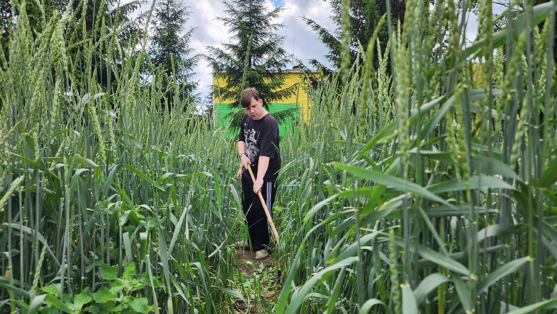 ступино, образование, сельское хозяйство,