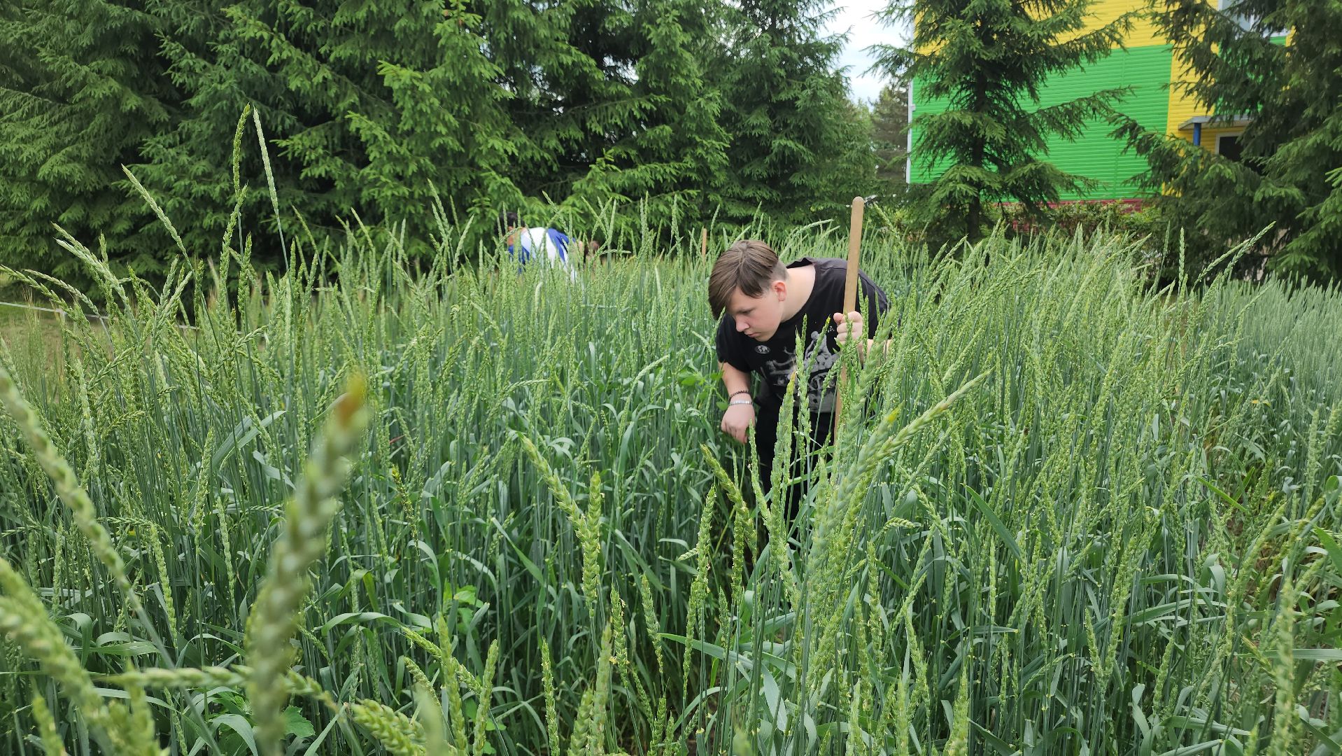 ступино, образование, сельское хозяйство,