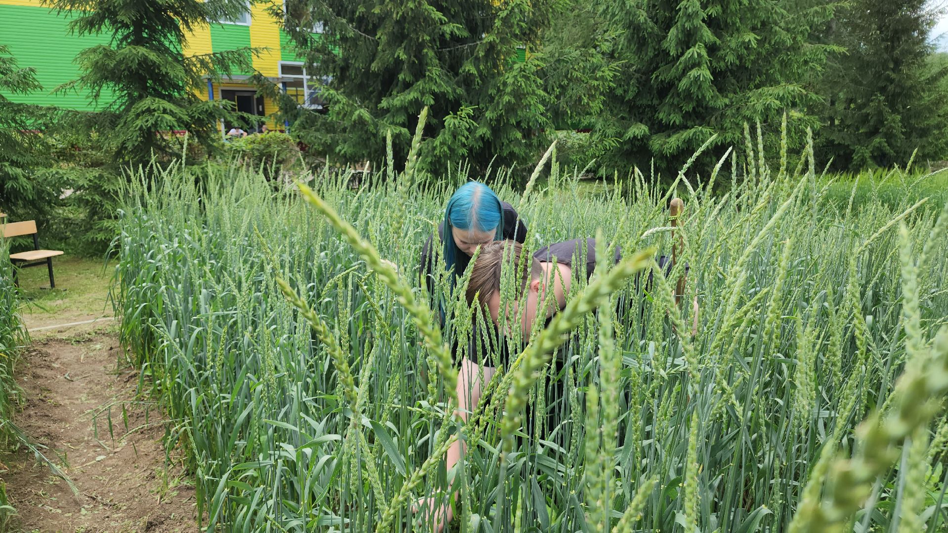 ступино, образование, сельское хозяйство,