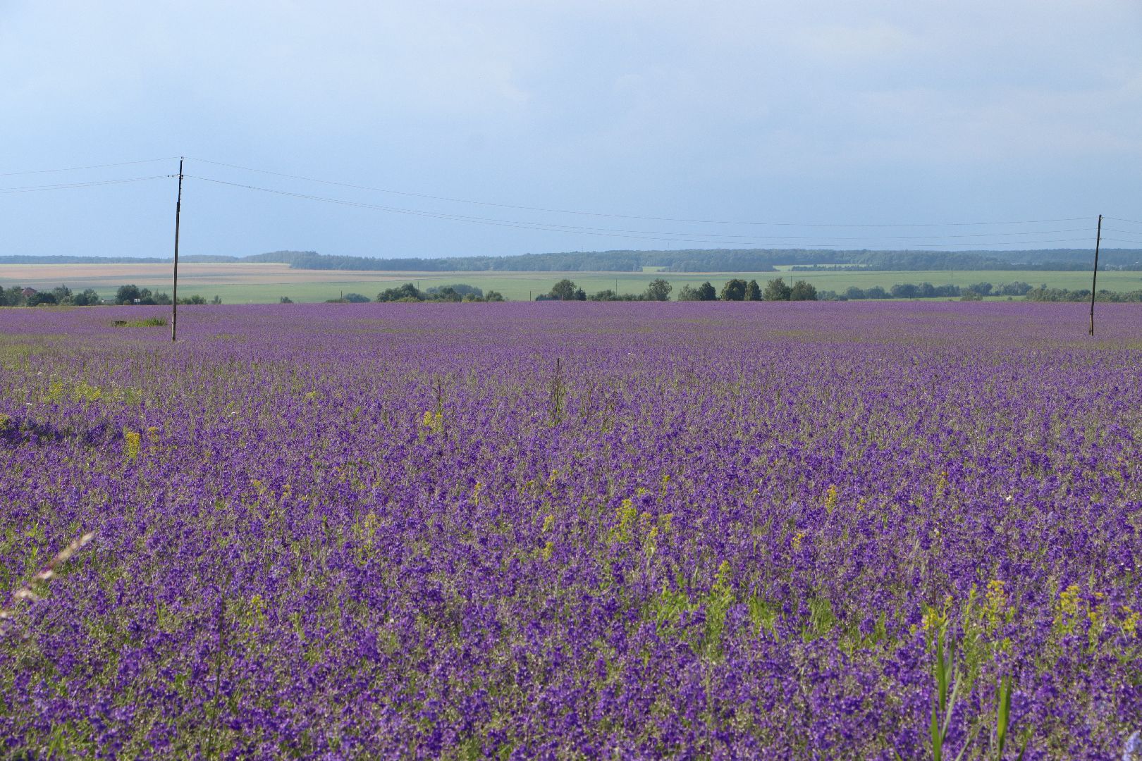 серебряные пруды, благодать, дудино,  локация для фотосессии,
