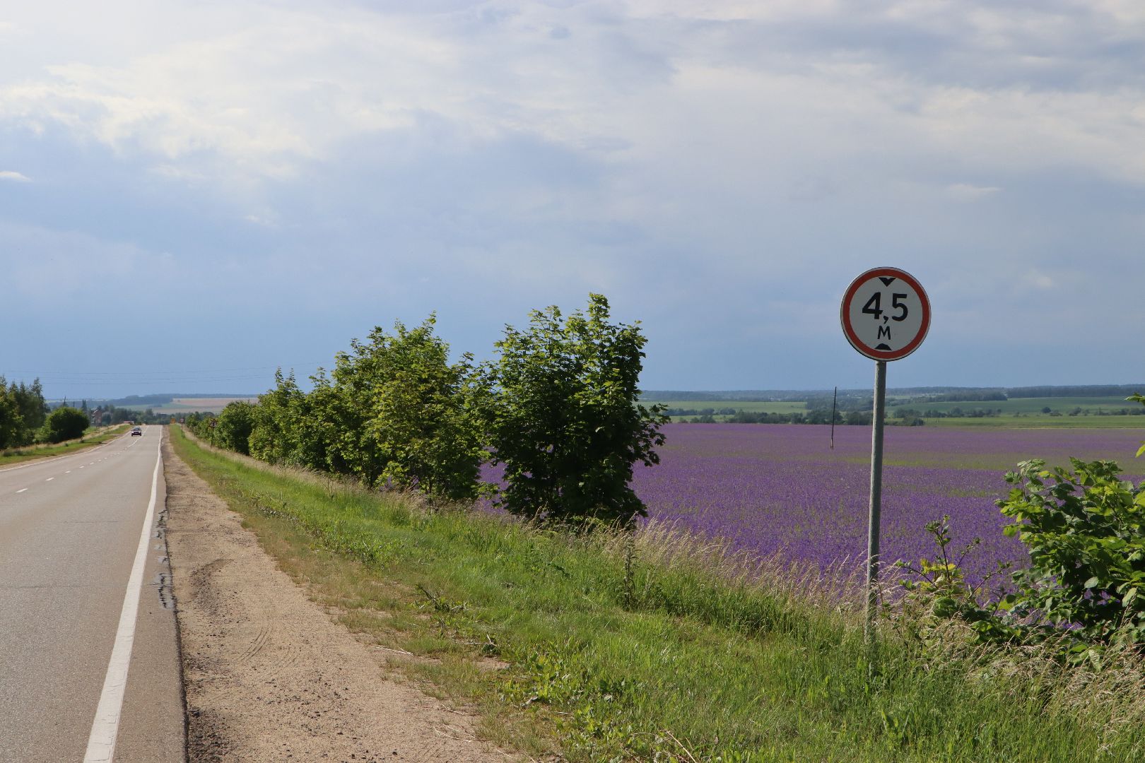серебряные пруды, благодать, дудино,  локация для фотосессии,