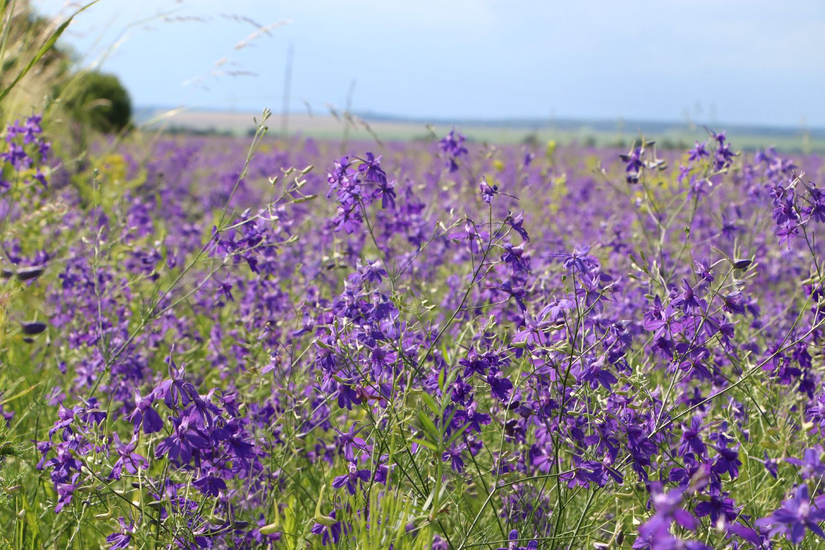 серебряные пруды, благодать, дудино,  локация для фотосессии,