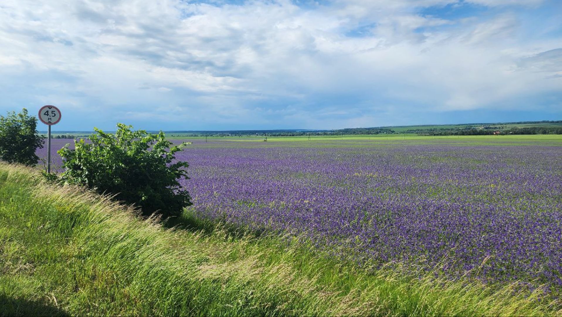 серебряные пруды, благодать, дудино,  локация для фотосессии,