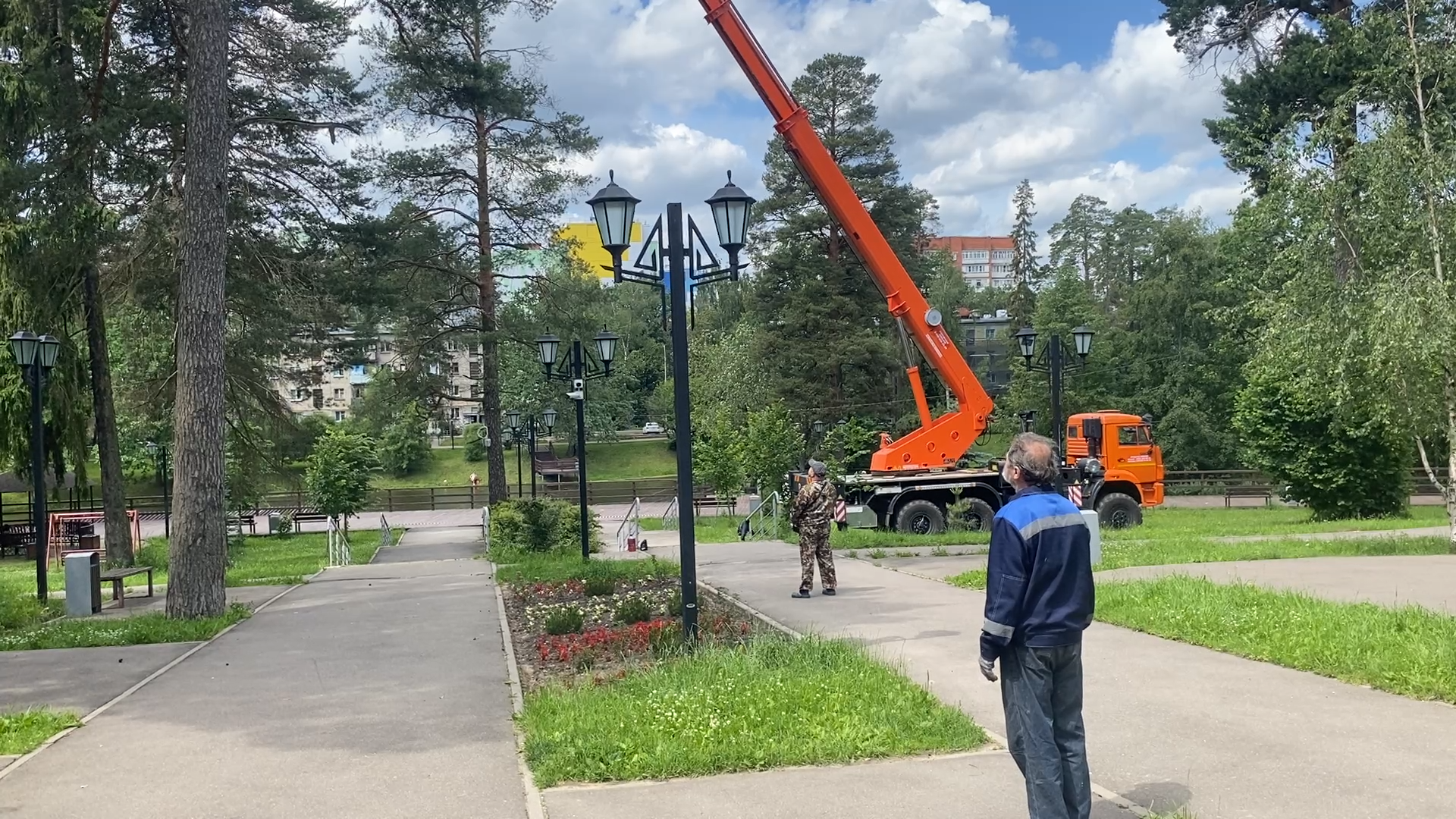санитарная вырубка, сухое дерево, жкх и благоустройство, власиха цветной бульвар, тропа здоровья,