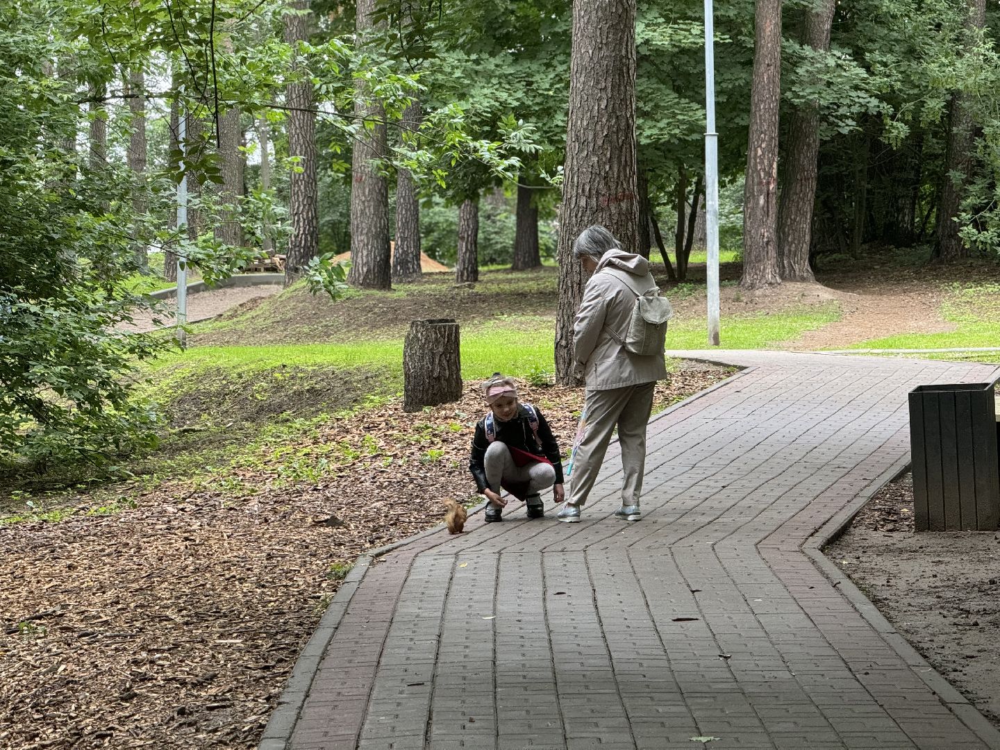 благоустройство в ленинском округе, тимоховский парк, ленинский городской округ,