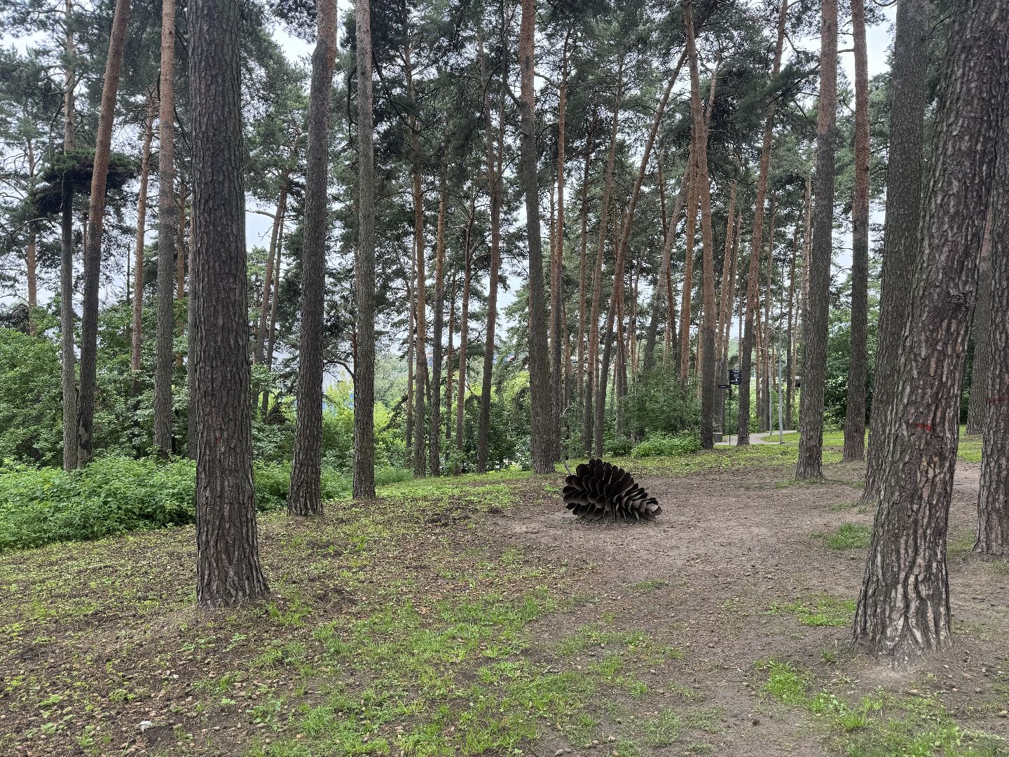благоустройство в ленинском округе, тимоховский парк, ленинский городской округ,
