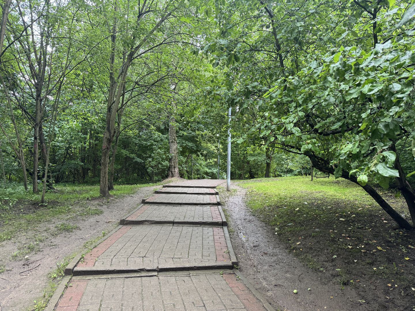 благоустройство в ленинском округе, тимоховский парк, ленинский городской округ,