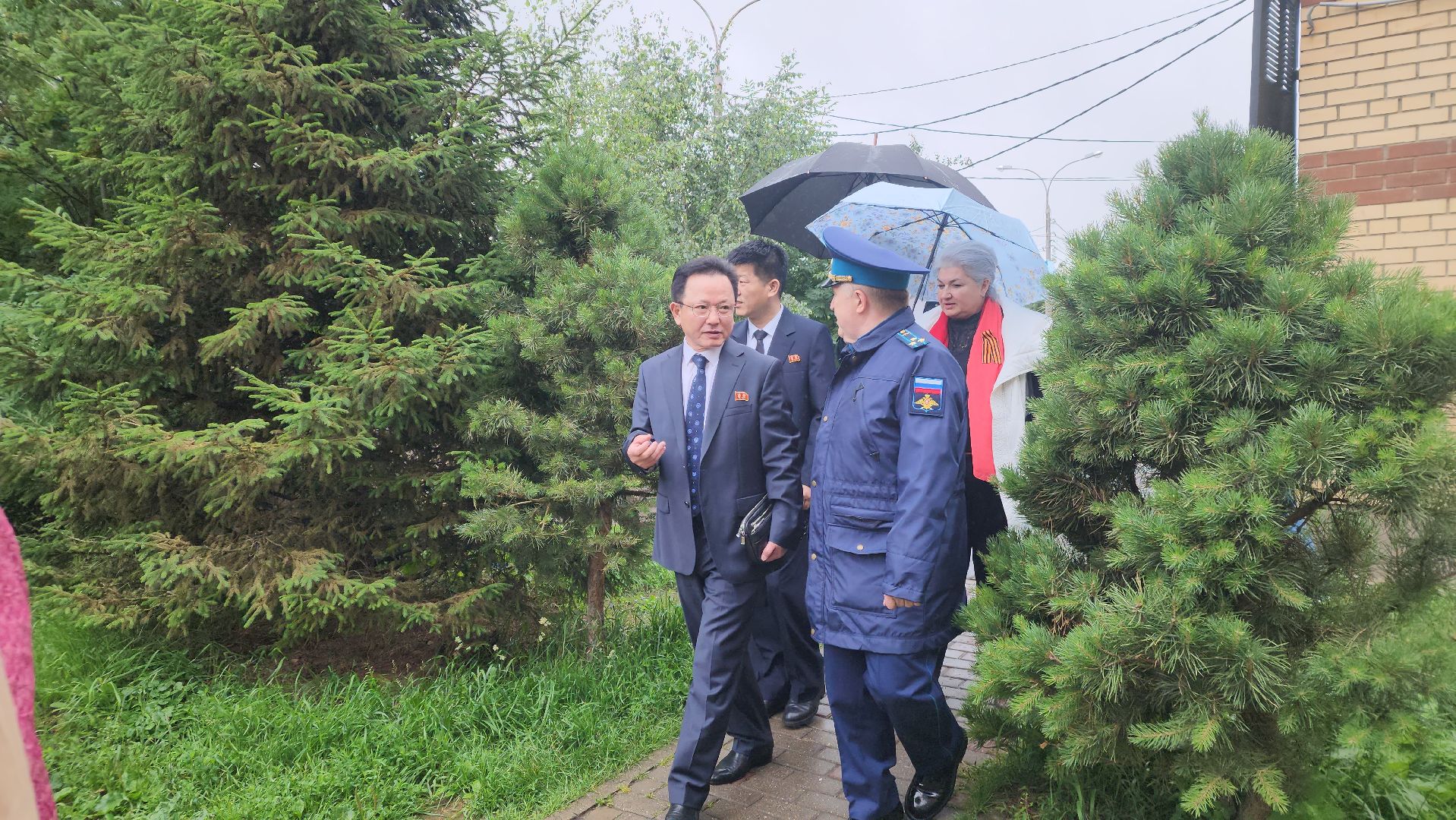 подольск, сад камней, Кедры из Кореи,