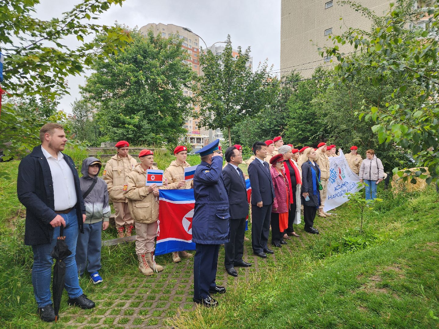 подольск, сад камней, Кедры из Кореи,