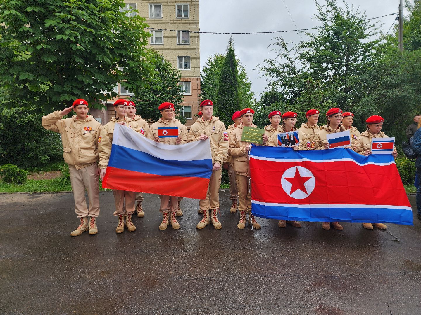 подольск, сад камней, Кедры из Кореи,