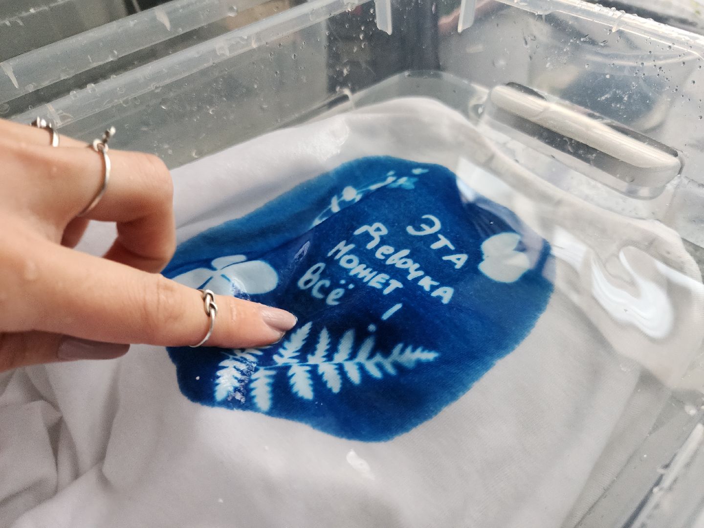 Черноголовка, Цианотипия, Мастер-класс,