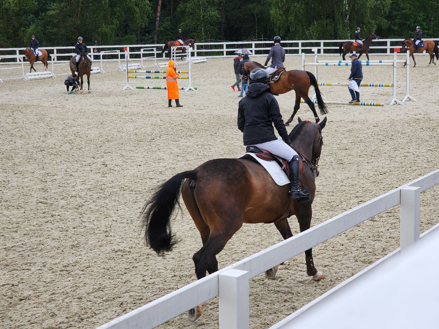 Черноголовка, Конный спорт, конкур,