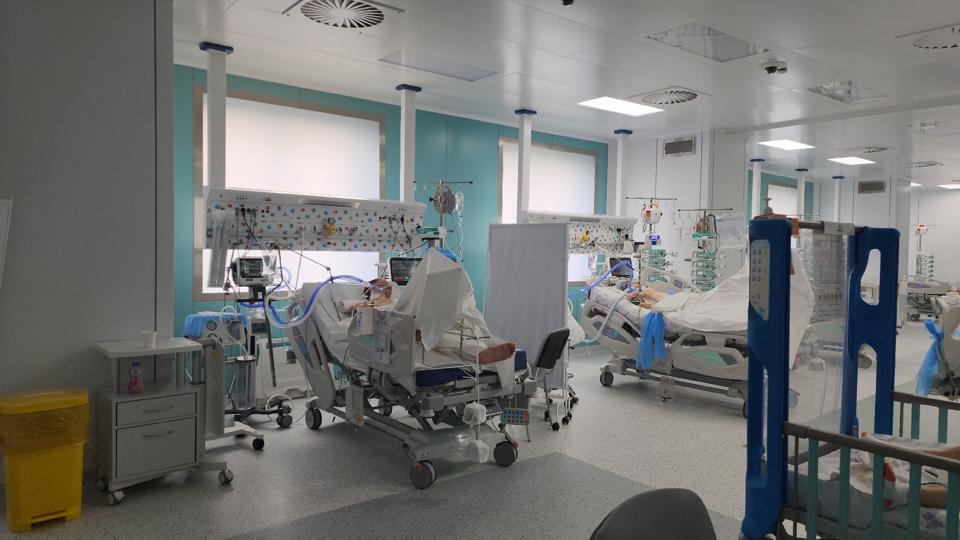 красногорск, детский клинический центр им рошаля, реанимация,