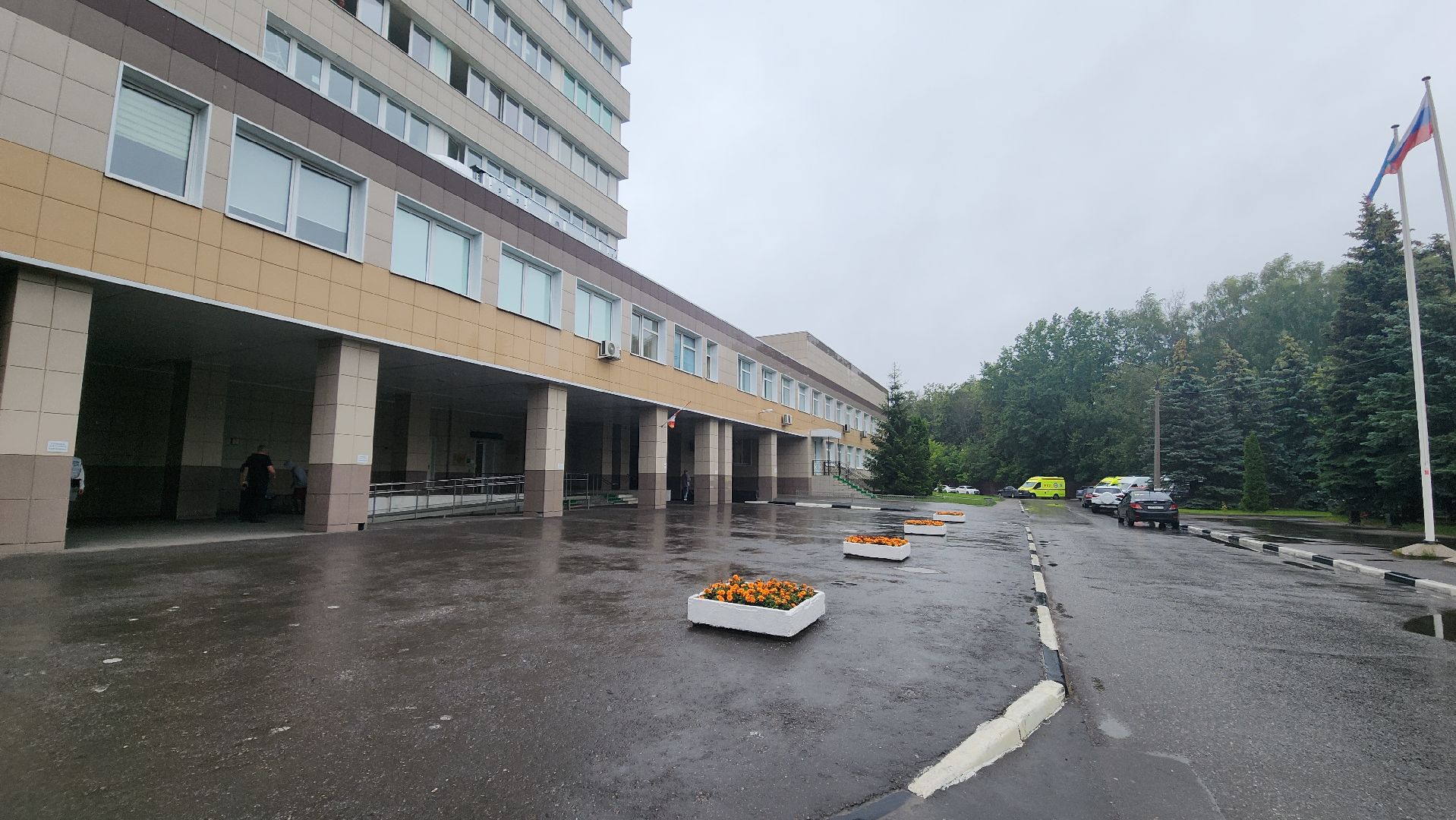 красногорск, медицина, лечение,