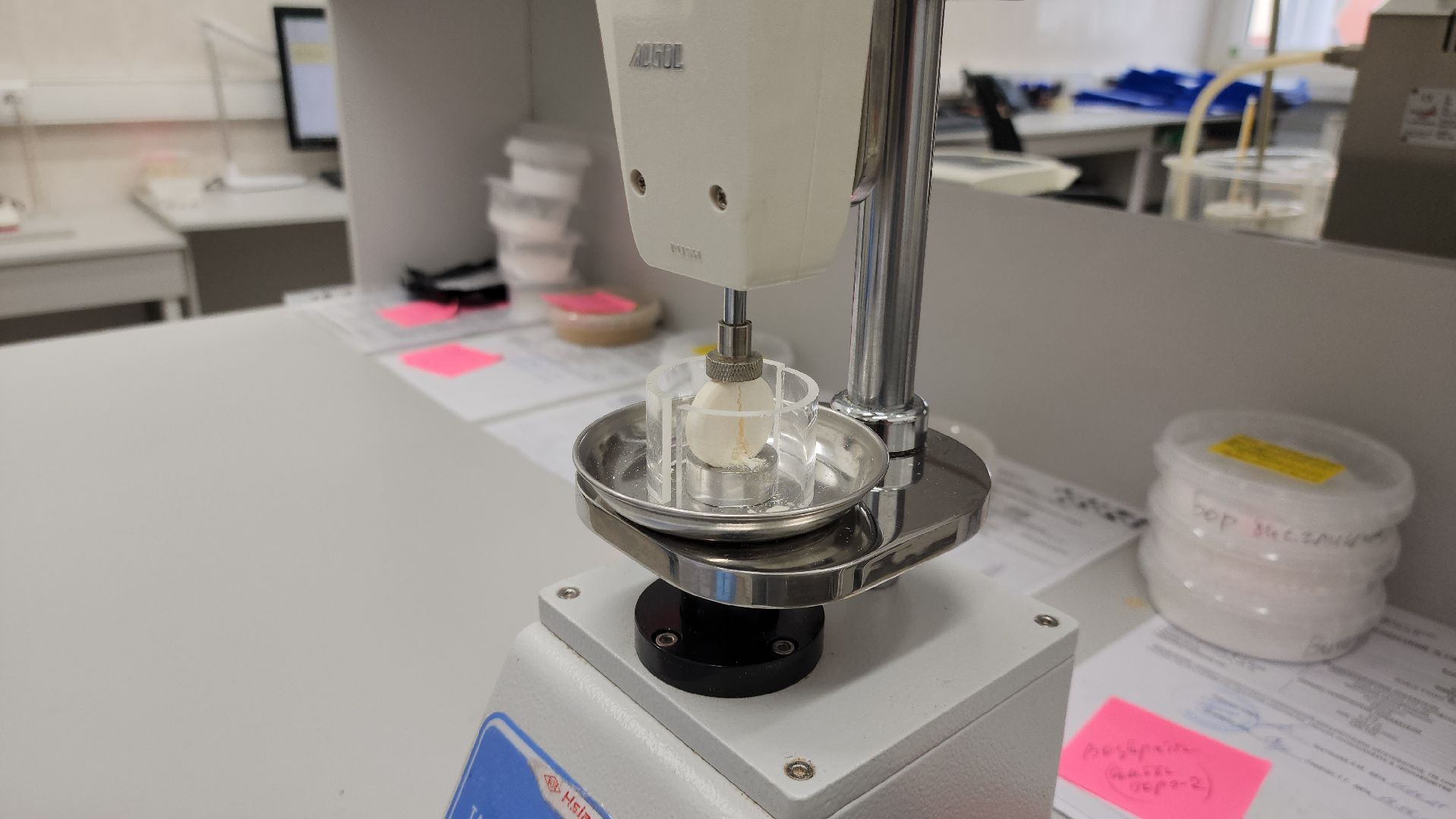 руза, экономика, тучково, роботизация,