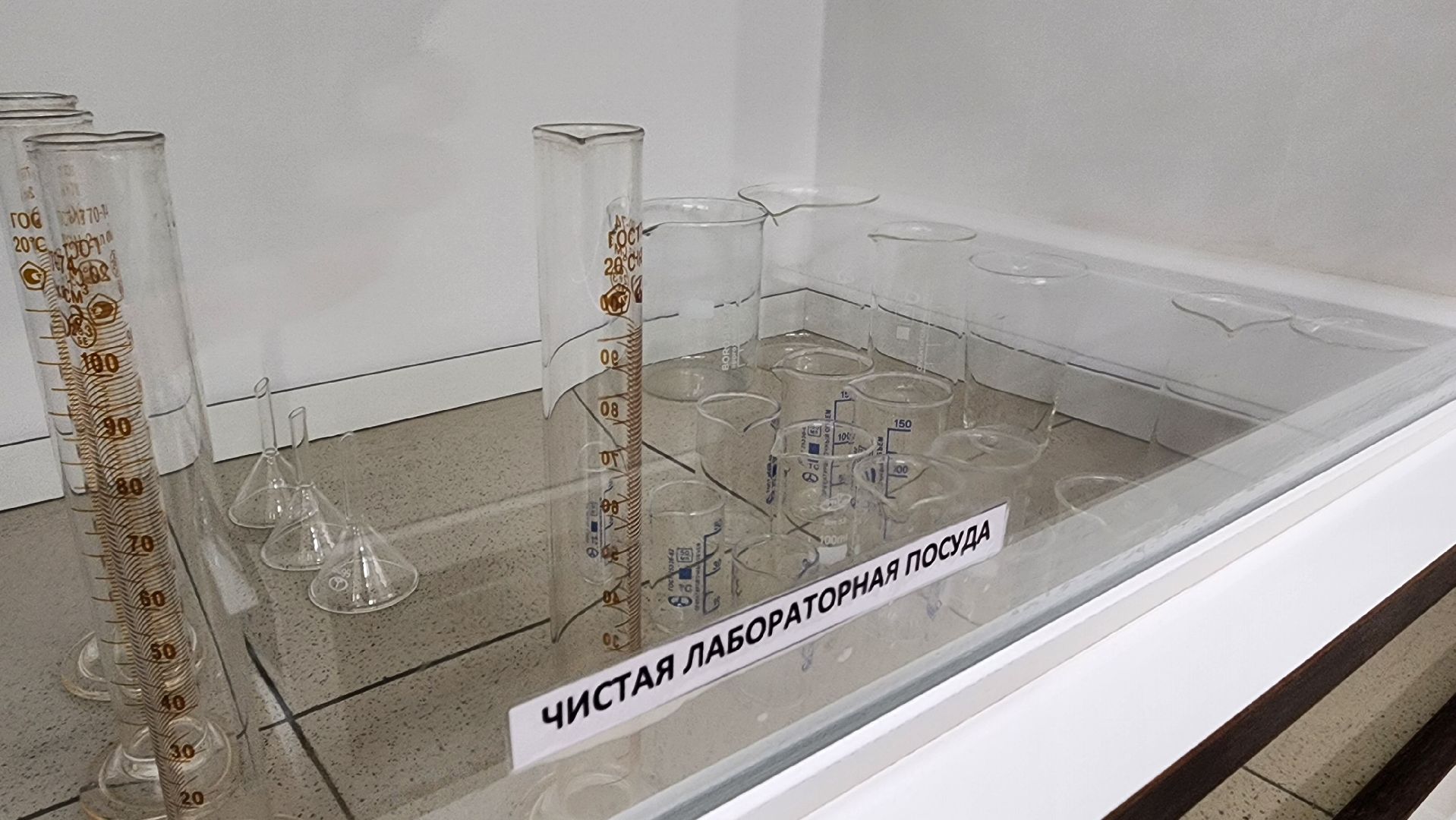 руза, экономика, тучково, роботизация,