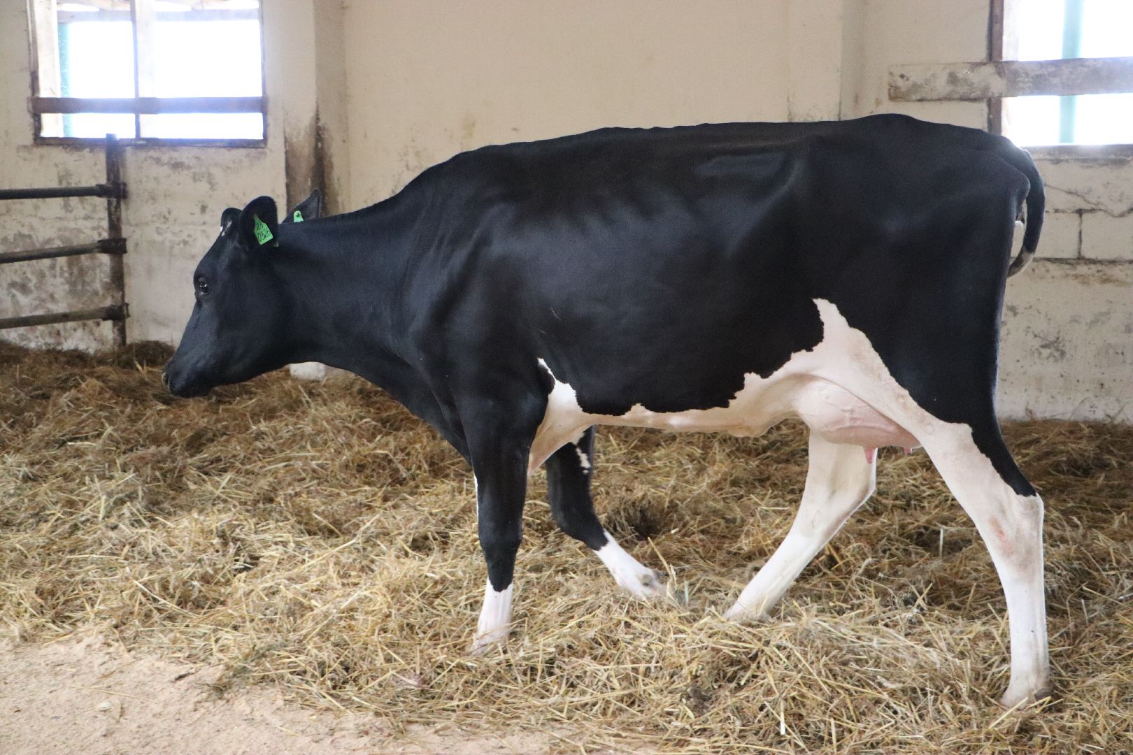 серебряные пруды, сп нива, звезды подмосковья-2025, сельское хозяйство,