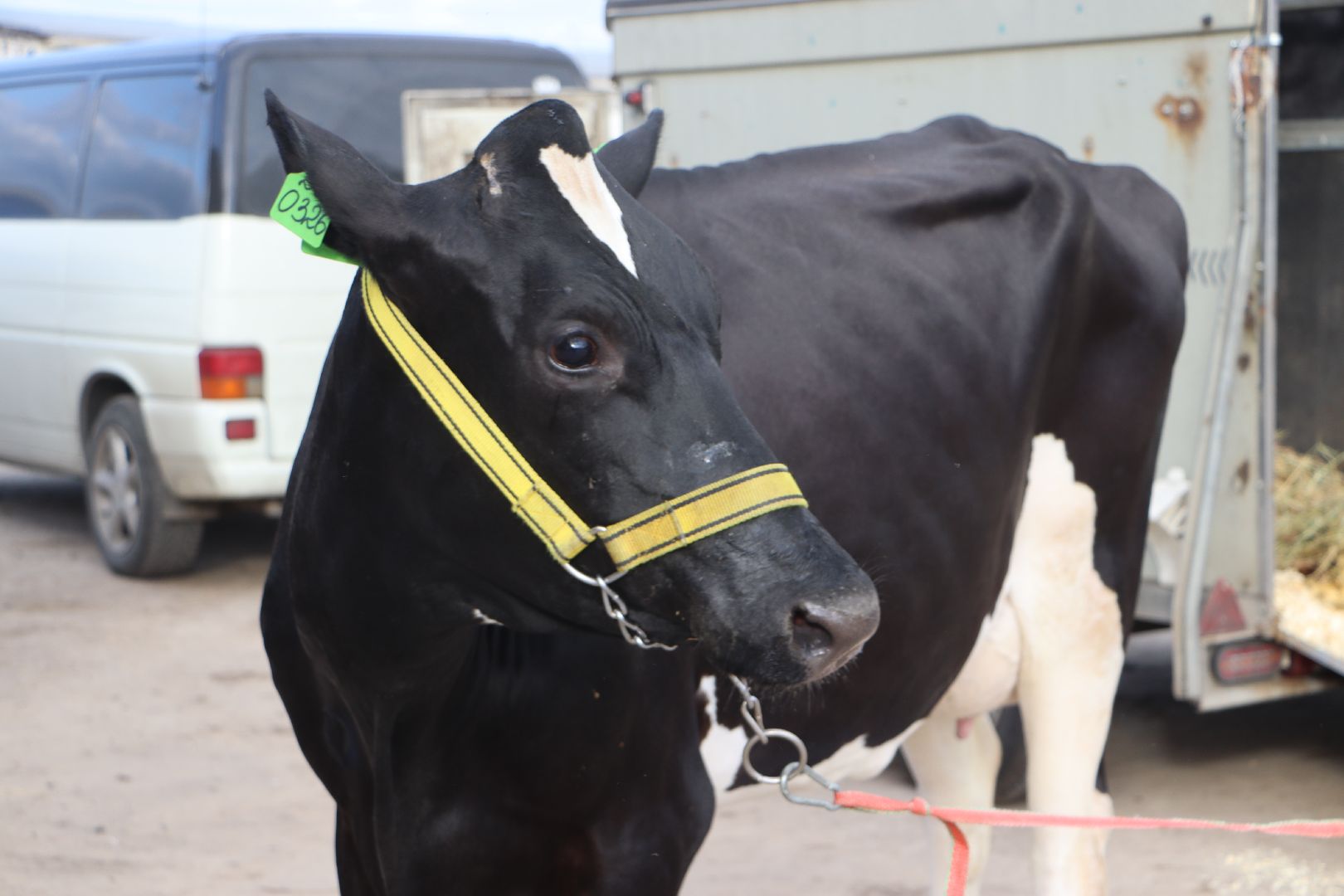 серебряные пруды, сп нива, звезды подмосковья-2025, сельское хозяйство,