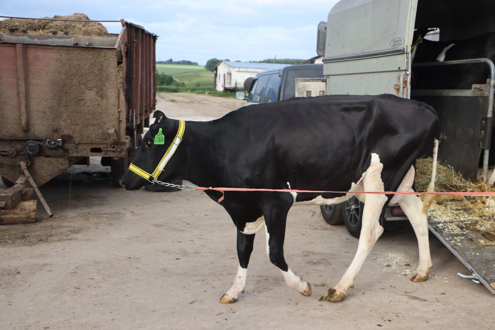 серебряные пруды, сп нива, звезды подмосковья-2025, сельское хозяйство,