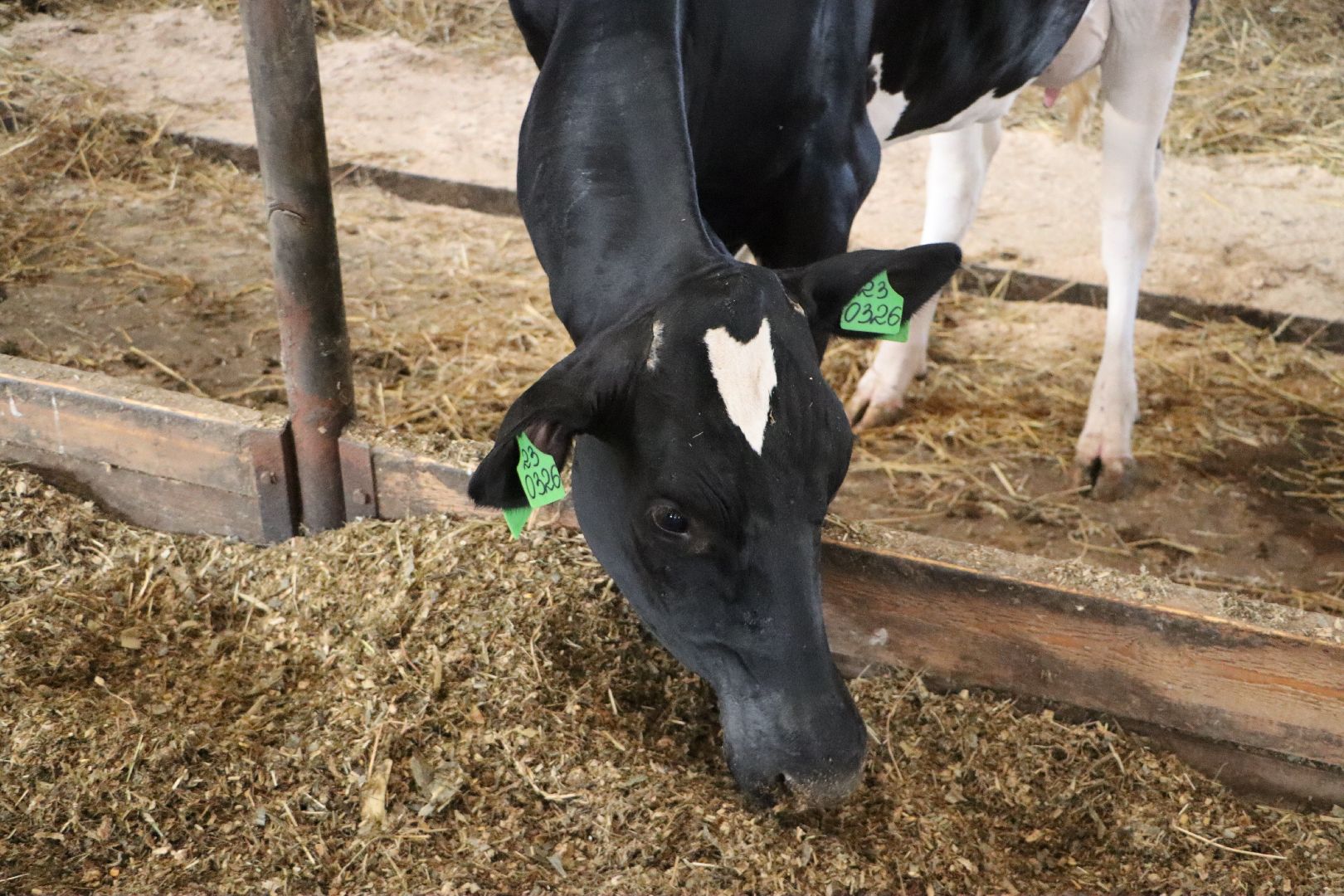 серебряные пруды, сп нива, звезды подмосковья-2025, сельское хозяйство,