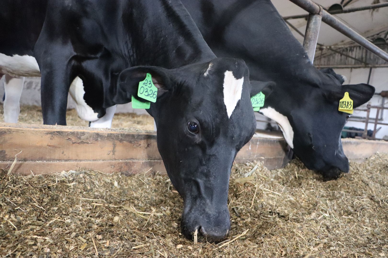 серебряные пруды, сп нива, звезды подмосковья-2025, сельское хозяйство,