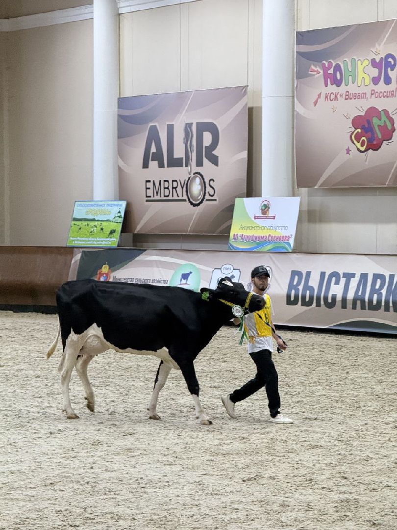 серебряные пруды, сп нива, звезды подмосковья-2025, сельское хозяйство,