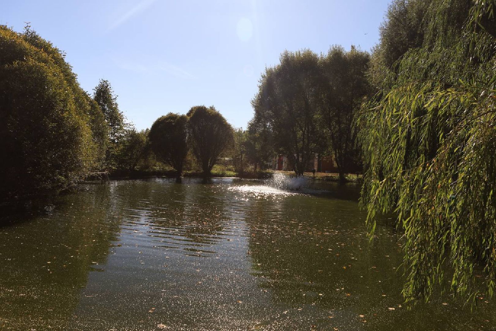 вертикалки, усадьба, экоферма, экологическое хозяйство,фермерское хозяйство,пушкинский округ,фермерские продукты,сельское хозяйство,