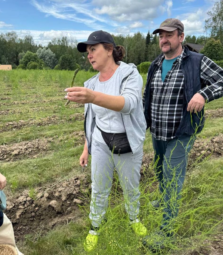 вертикалки, усадьба, экоферма, экологическое хозяйство,фермерское хозяйство,пушкинский округ,фермерские продукты,сельское хозяйство,