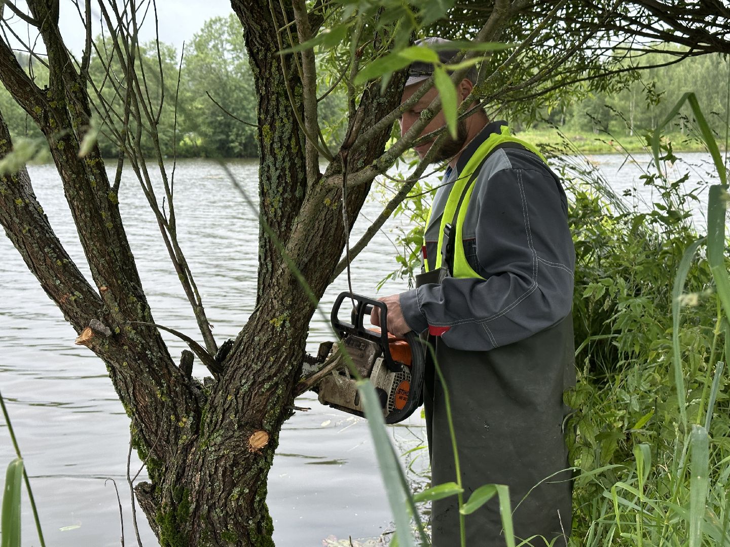 экология, 100 прудов и озер, расчистка пруда, пушкинский городской округ,
