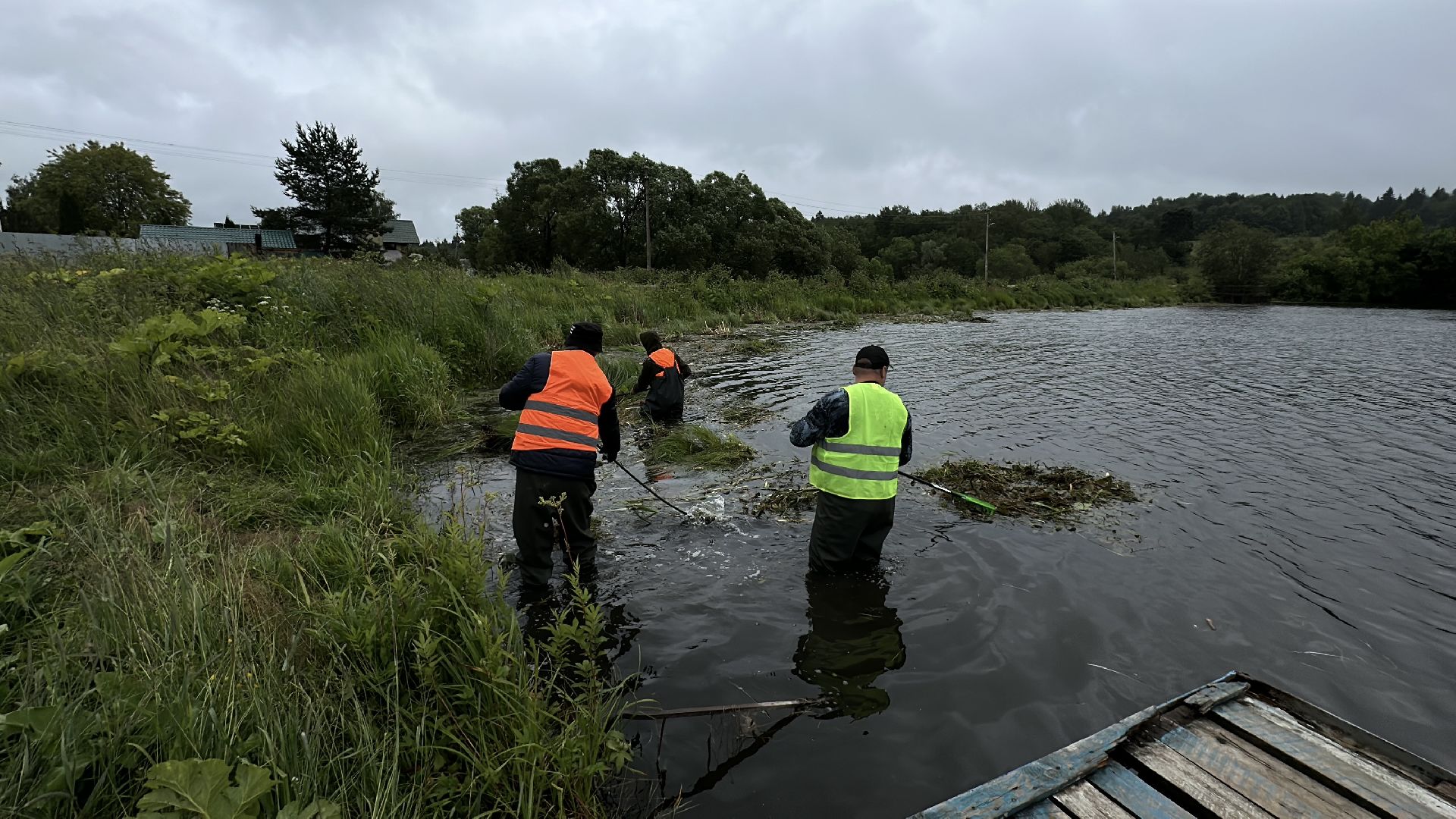экология, 100 прудов и озер, расчистка пруда, пушкинский городской округ,