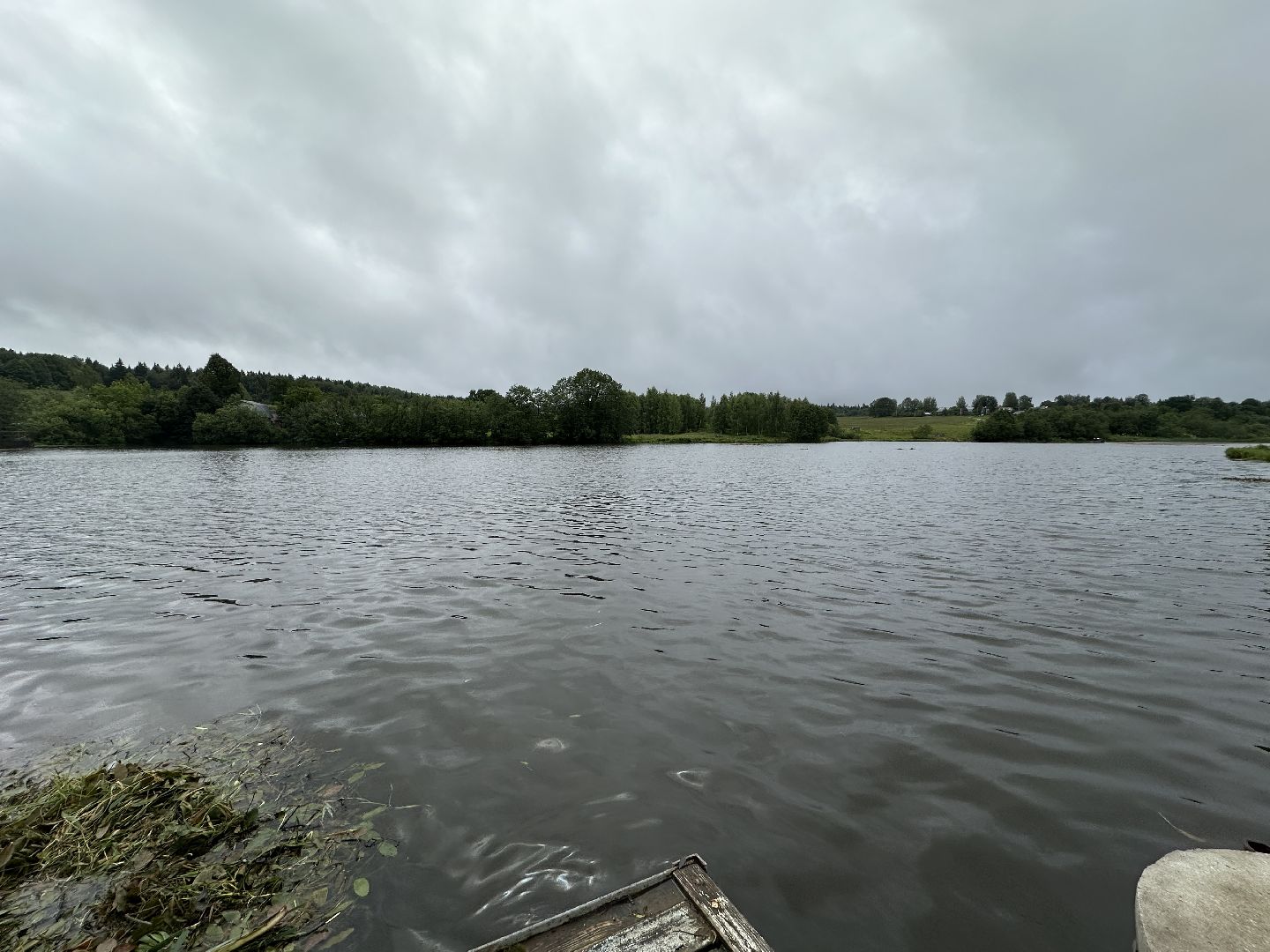 экология, 100 прудов и озер, расчистка пруда, пушкинский городской округ,
