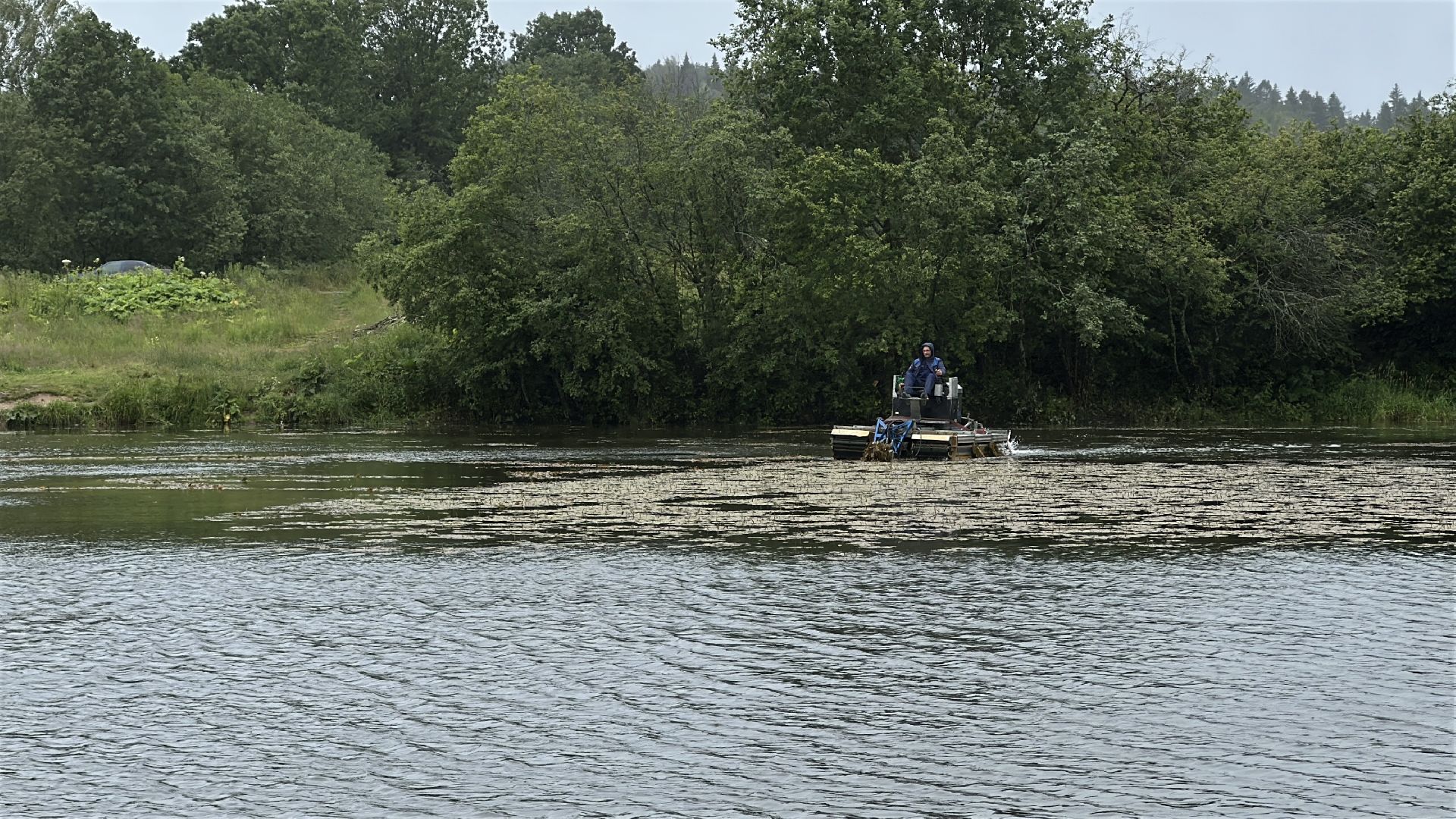 экология, 100 прудов и озер, расчистка пруда, пушкинский городской округ,
