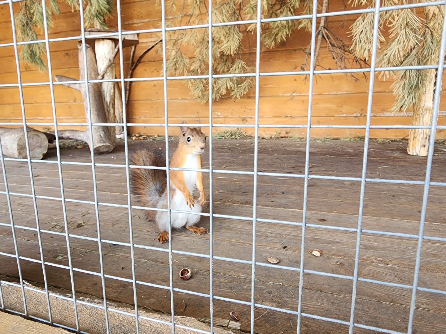 серпухов, подмосковье, питомник южный, экзотические животные,