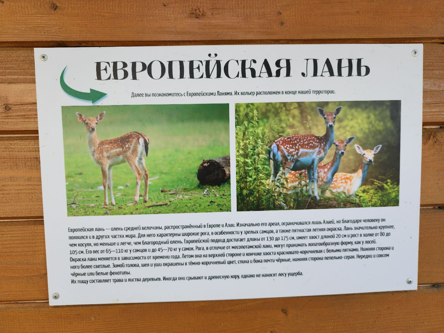 серпухов, подмосковье, питомник южный, экзотические животные,