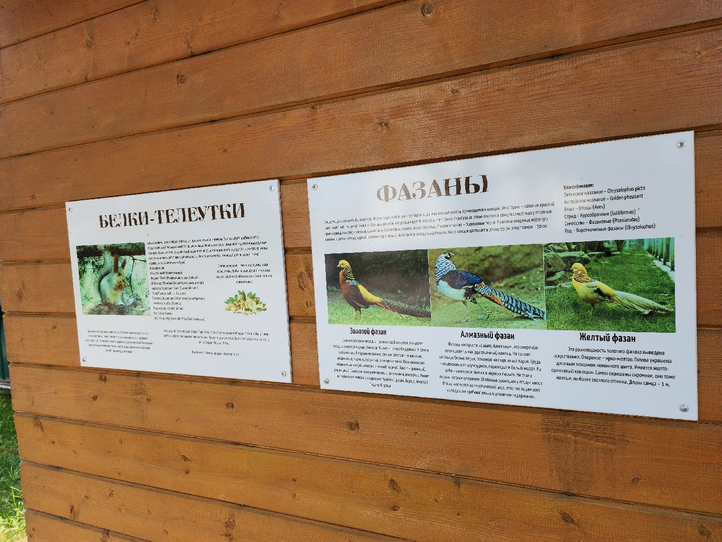 серпухов, подмосковье, питомник южный, экзотические животные,