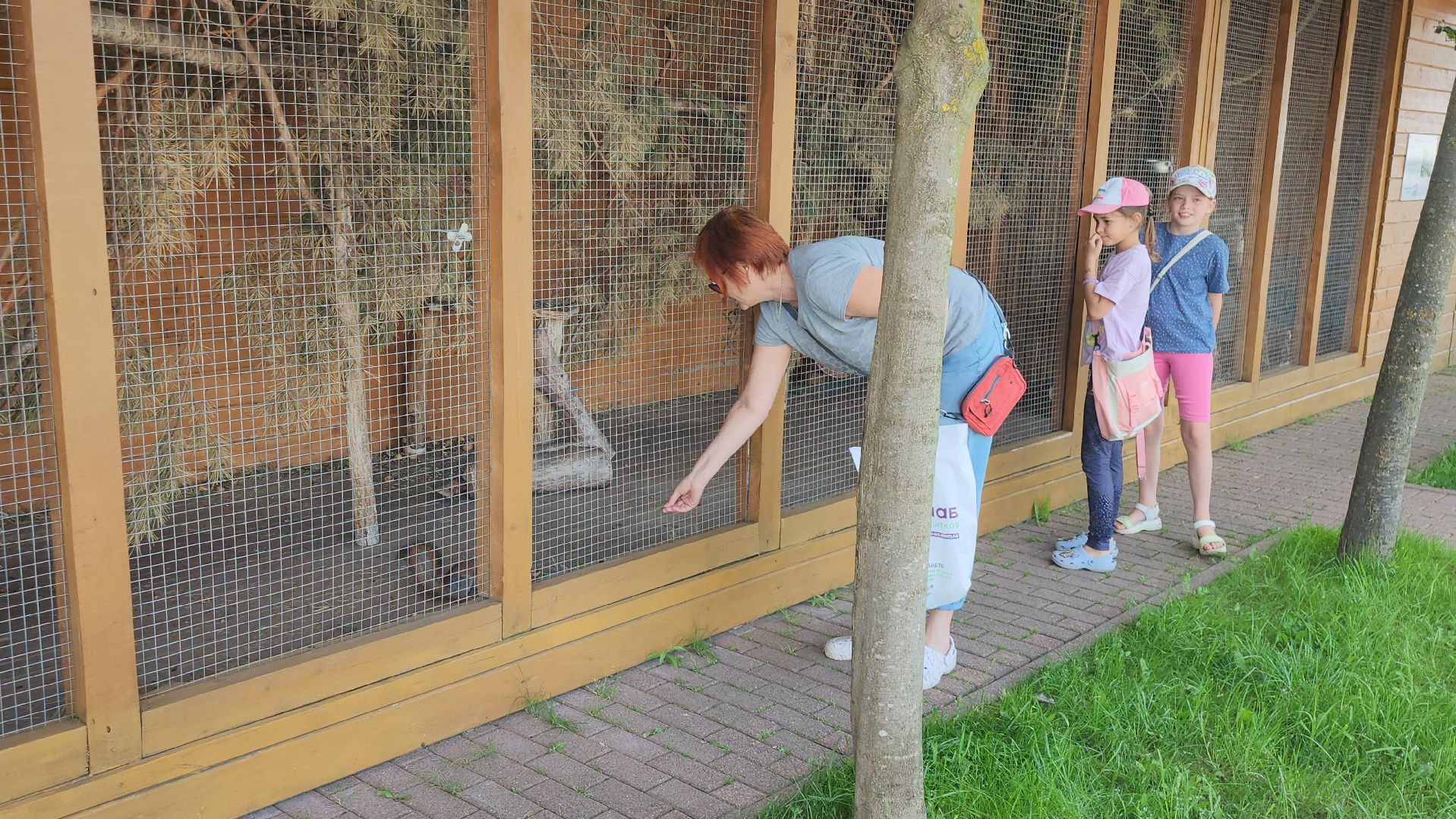 серпухов, подмосковье, питомник южный, экзотические животные,
