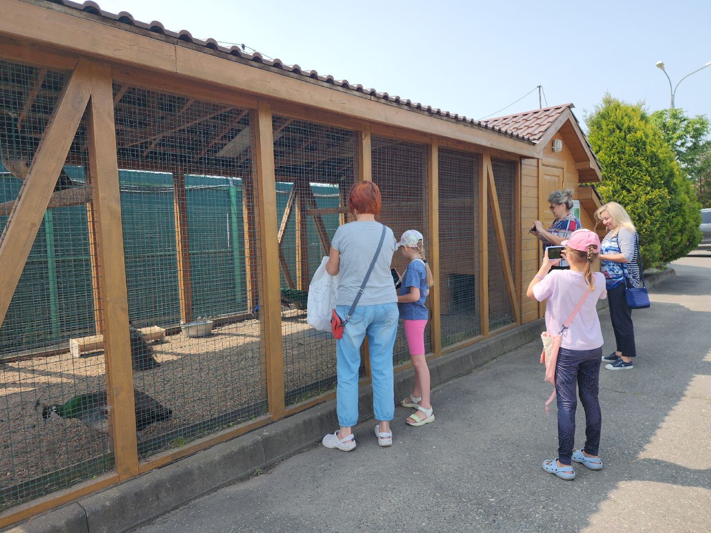 серпухов, подмосковье, питомник южный, экзотические животные,