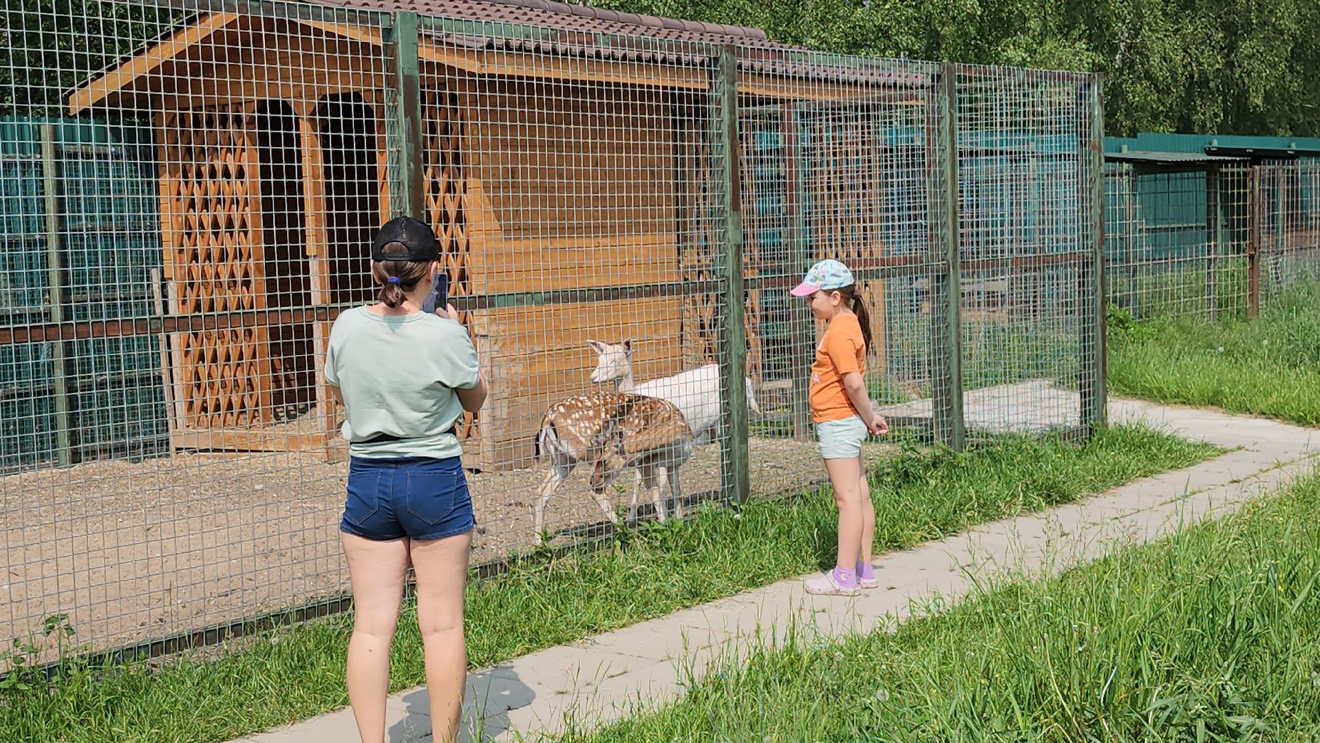 серпухов, подмосковье, питомник южный, экзотические животные,