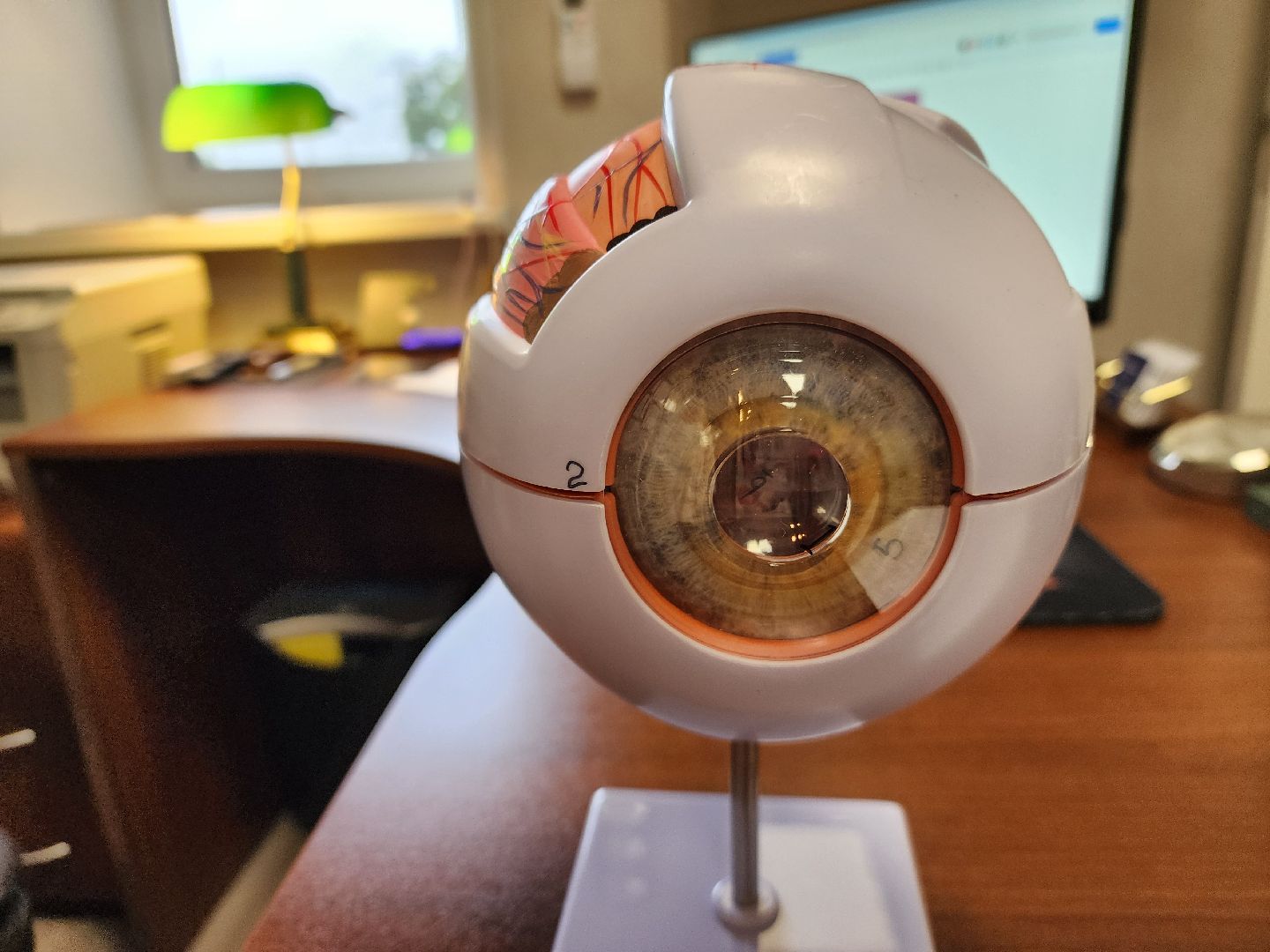 Подольск , Офтальмология , покб,